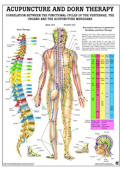 Acupuncture & Dorn Therapy 50 x70 cm