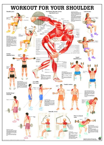 Workout for your back 50 x70 cm