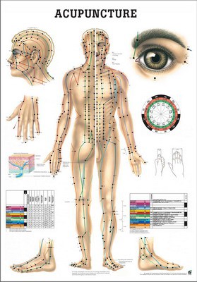 Acupuncture, englisch, 50 x 70 cm, laminiert