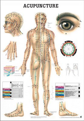 Acupuncture, english, 50 x 70 cm, laminated