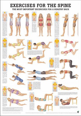 Exercises for the spine, englisch, 50 x 70 cm, papier