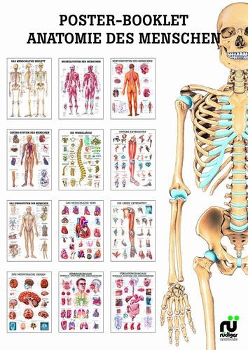 Miniposter - Booklet 01 Anatomie