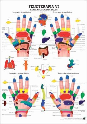 Refleksoterapia Dloni