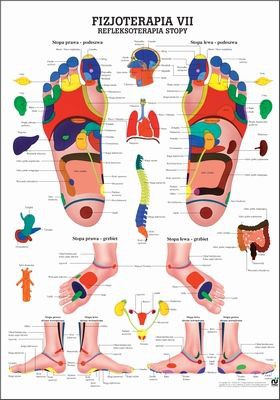 Refleksoterapia Stopy