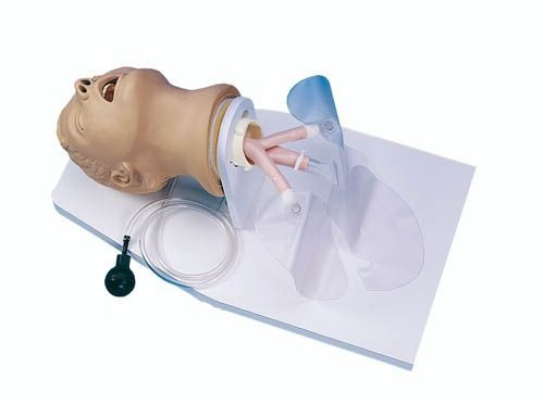 Intubationstrainer Erwachsener