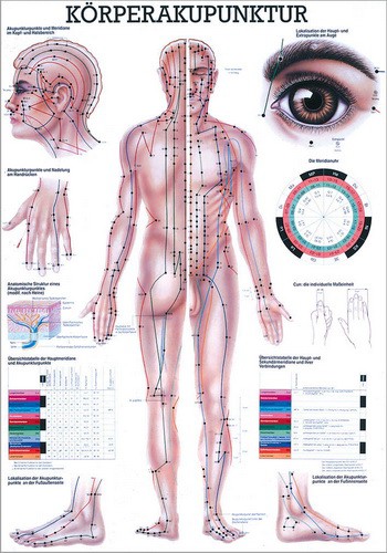 Körperakupunktur, 70 x 100 cm, laminiert