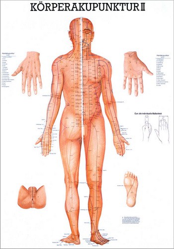 Körperakupunktur II