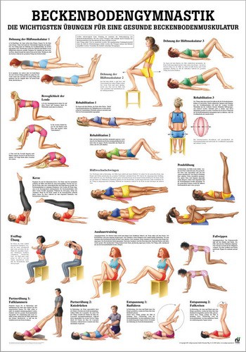 Beckenbodengymnastik, 70 x 100 cm, laminiert