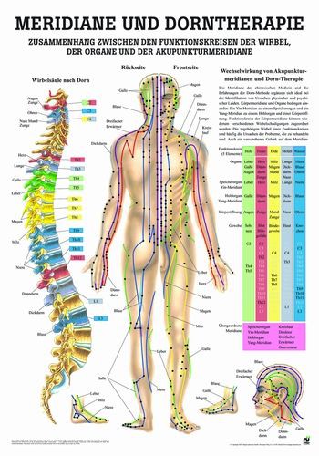 Meridiane und Dorntherapie