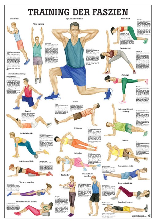 Training der Faszien  70 x 100 cm, laminiert