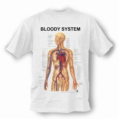 Anatomical T-Shirt Vascular System