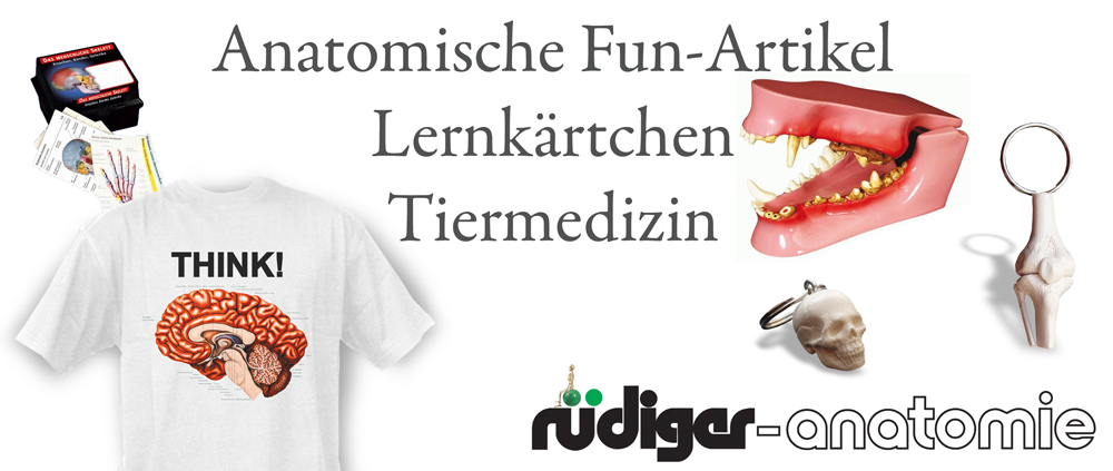 weitere Produkte
