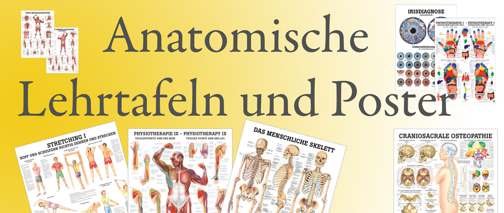 Lehrtafeln und Poster